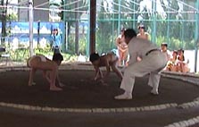 �s�����