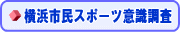 ���l�s���X�|�[�c�ӎ�����